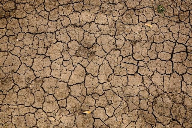 Du betrachtest gerade Klimawandel bei christlichen Werten